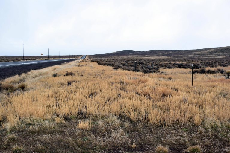 How To Buy Raw Land and Avoid Mistakes Cooking in Quarantine